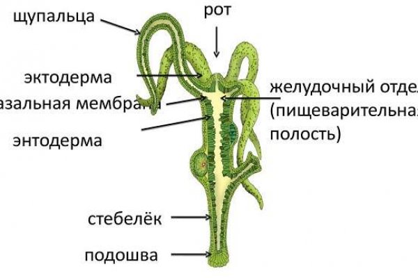 Найти ссылку кракен